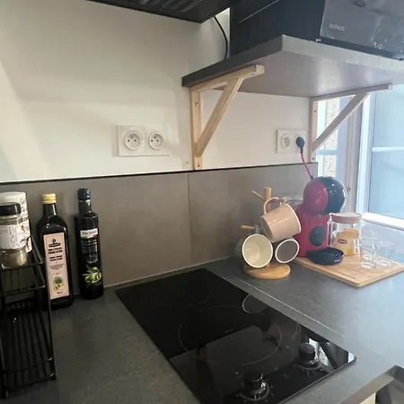 Le Bjorn - T1 Chaleureux Refait A Neuf - Centre شقة *